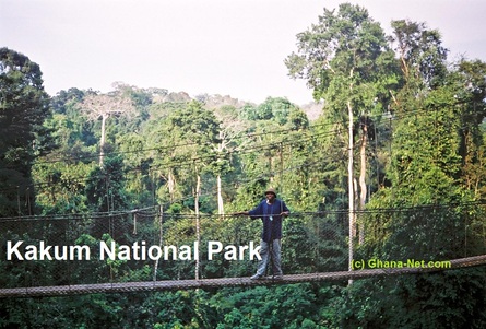 kakum National Park, Ghana, Central Region, near Cape Coast
