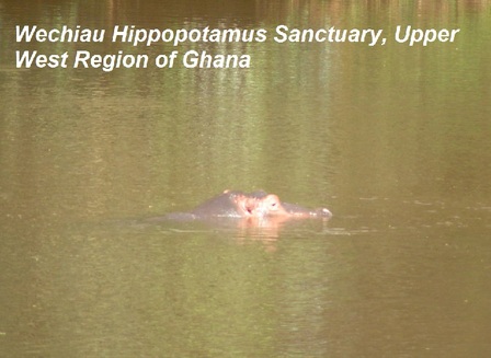 Wechiau Hippo Sanctuary, Upper West Region of Ghana