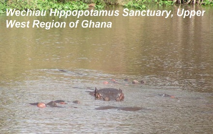 Wechiau Hippo Sanctuary, Ghana