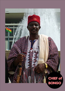 Baba Salifu Aleemyarum, Paramount Chief, Bongo, Traditional Area, Upper East region, Ghana, tourism, parliament of Ghana,